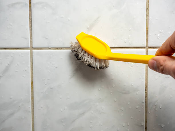 Best Mold Removal and Inspection  in Fairfax Station, VA