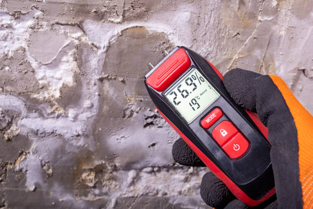 Best Toxic Mold Removal  in Fairfax Station, VA