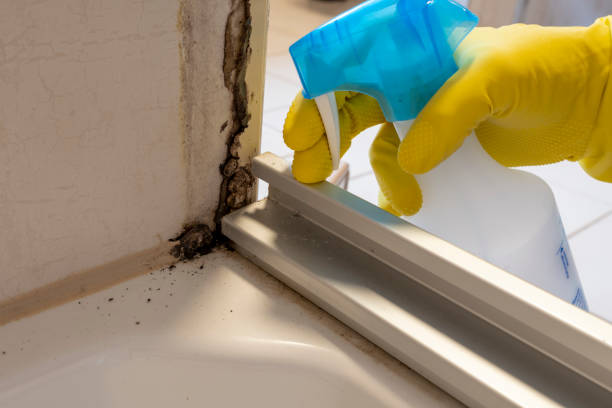 Best Crawl Space Mold Removal  in Fairfax Station, VA