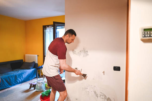 Mold Removal Process in Fairfax Station, VA